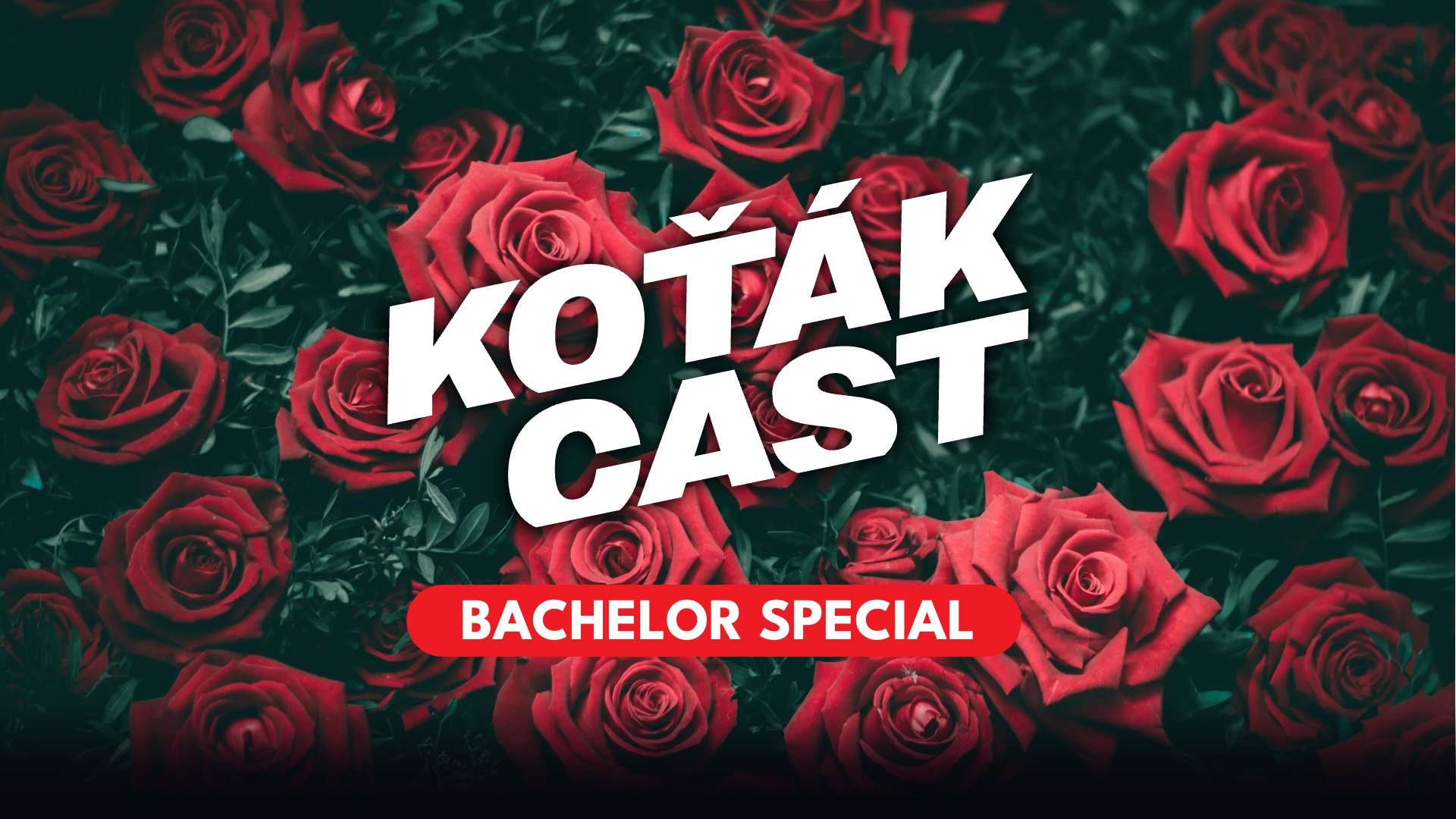 Bachelor Special