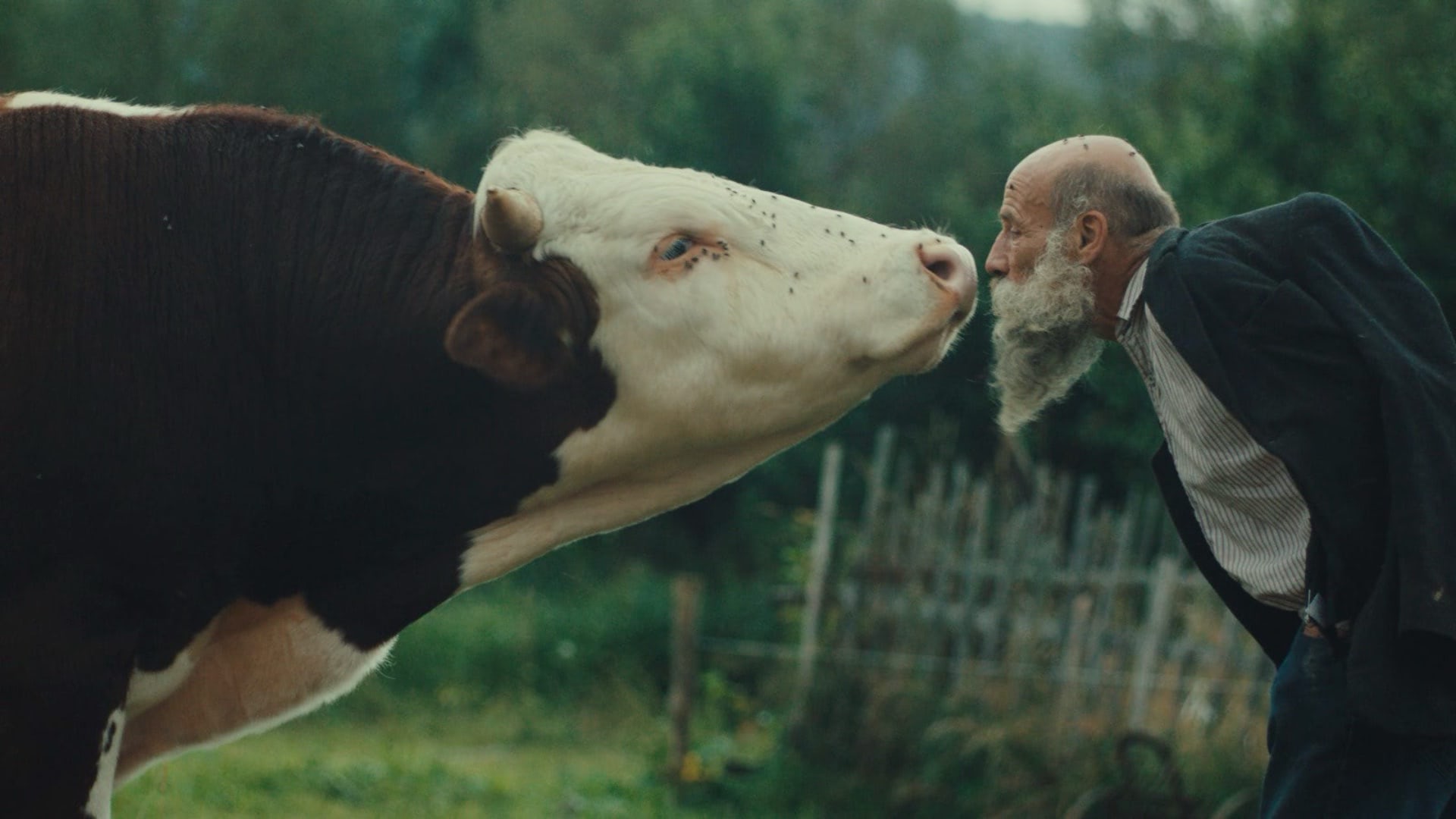 KVIFF / Oceněné filmy