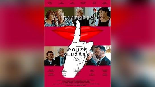 Tajemství pouze služební (2016)