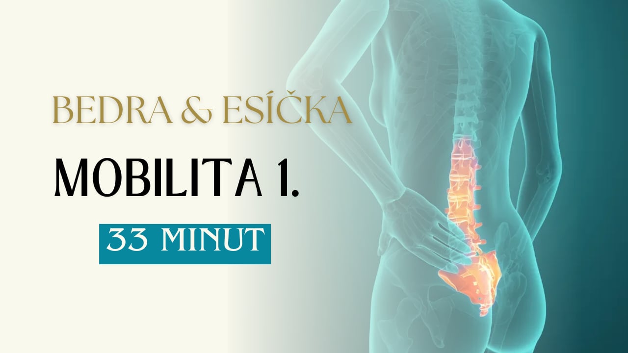 MOBILITA 1.