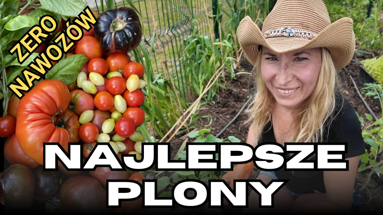 Gigantyczne plony bez nawozów. Moja największa pryzma kompostowa. Co z nią zrobić po zimie?