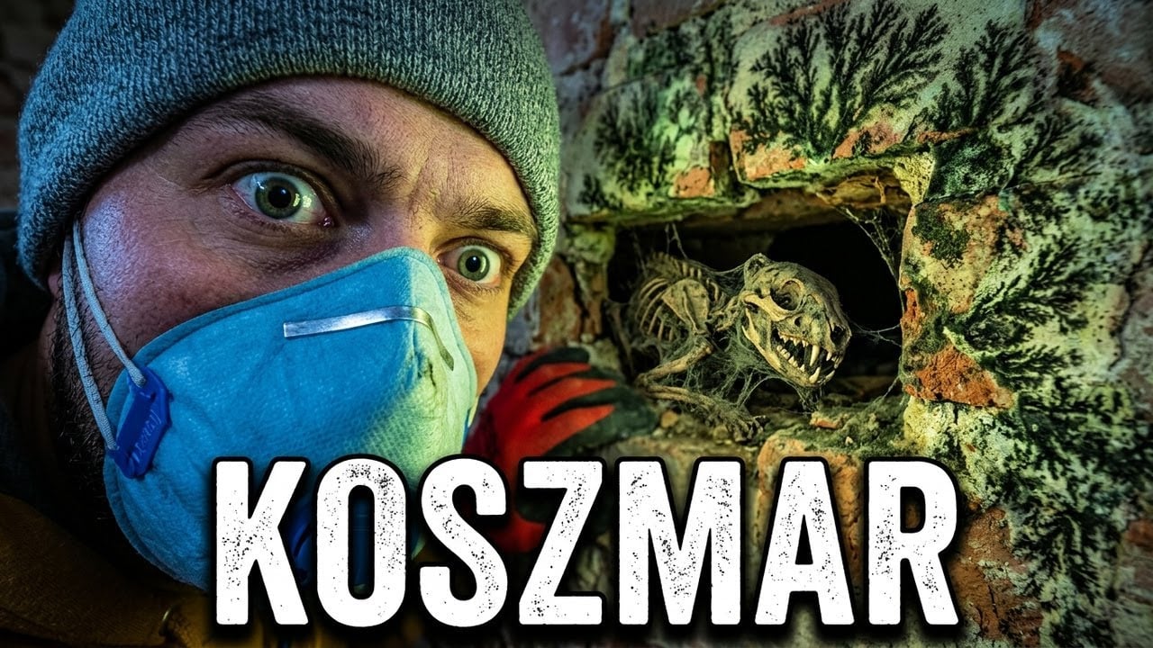 #12 Remont starego domu_ Ściana, której nie da się uratować_