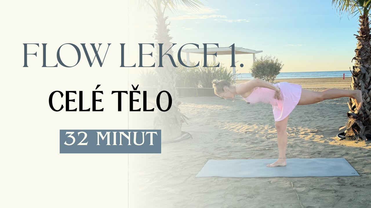 LEKCE 1. - Týden 28