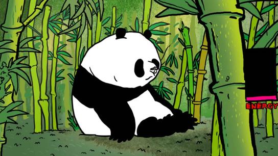 Pandy