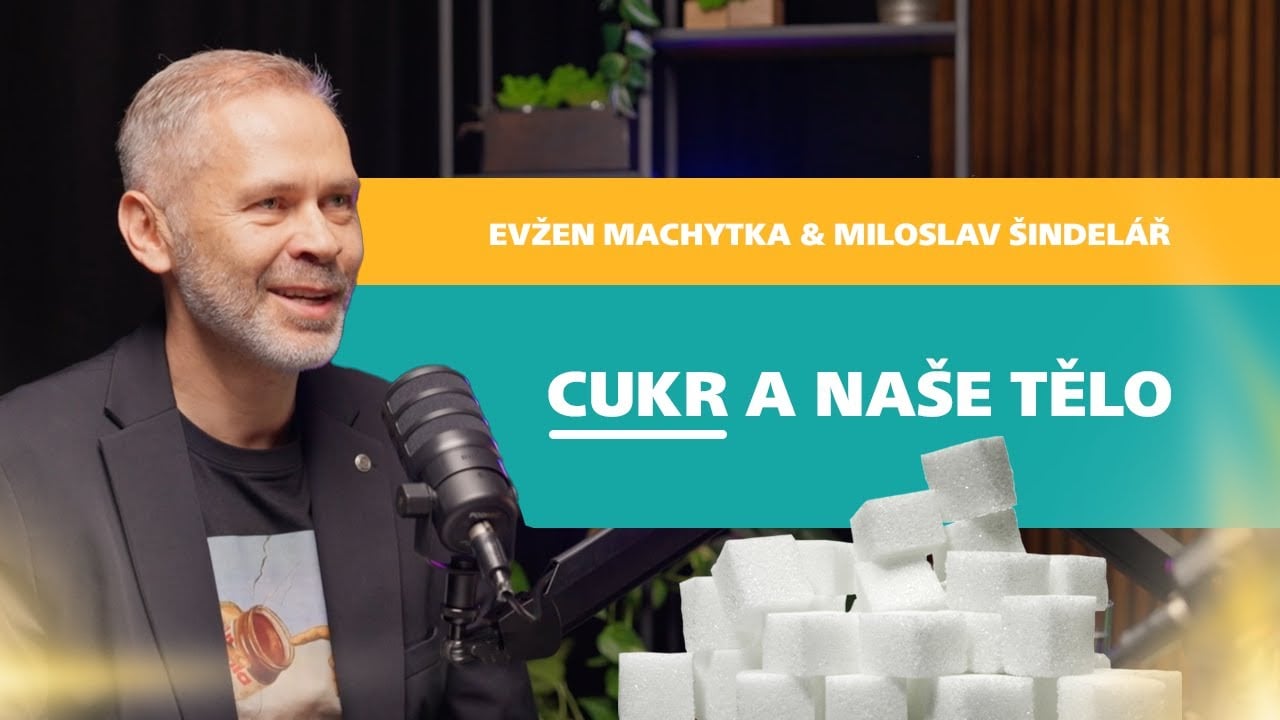 Obezita je nemoc - Cukr a naše tělo 