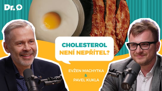 Cholesterol není nepřítel? Pravda o vejcích, lécích a infarktu