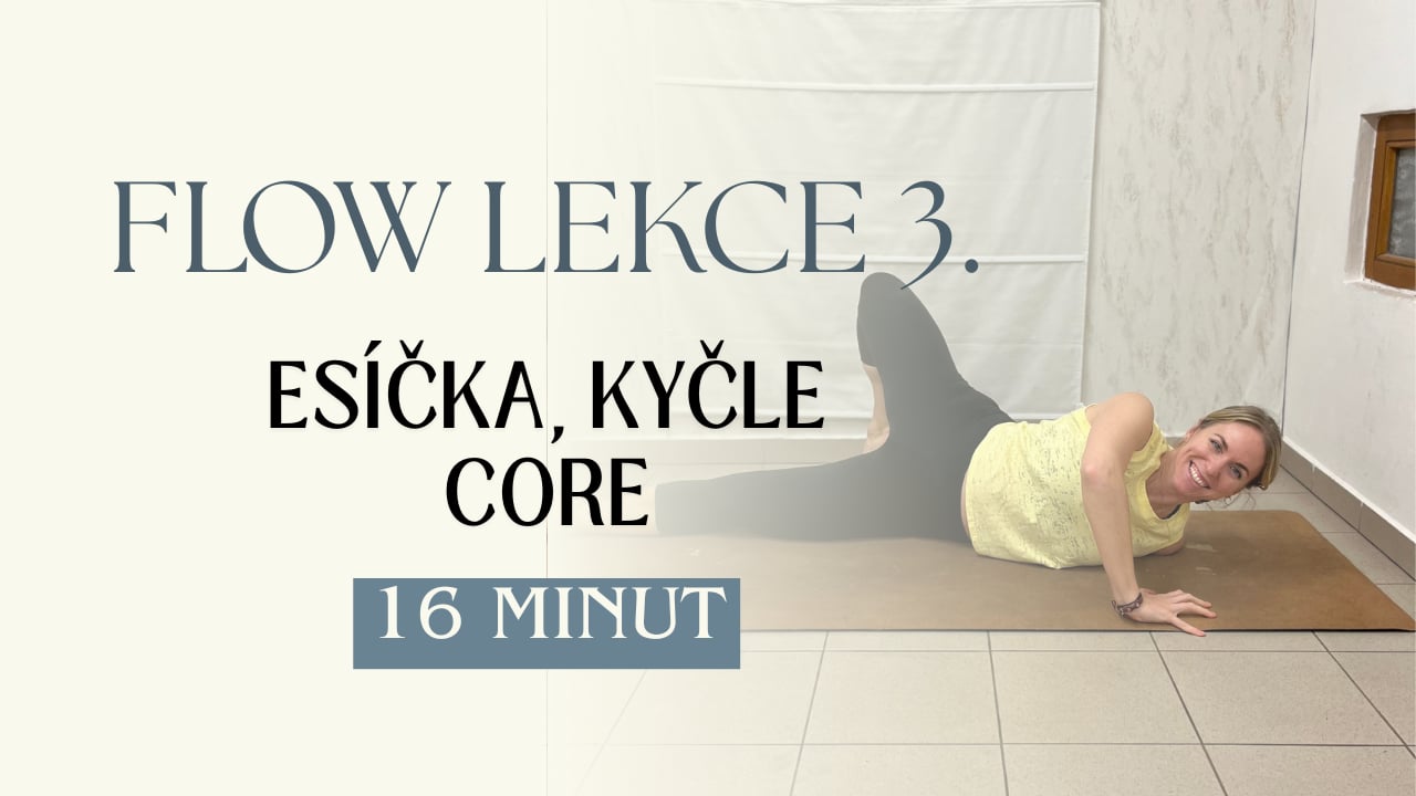 LEKCE 3. - Týden 26