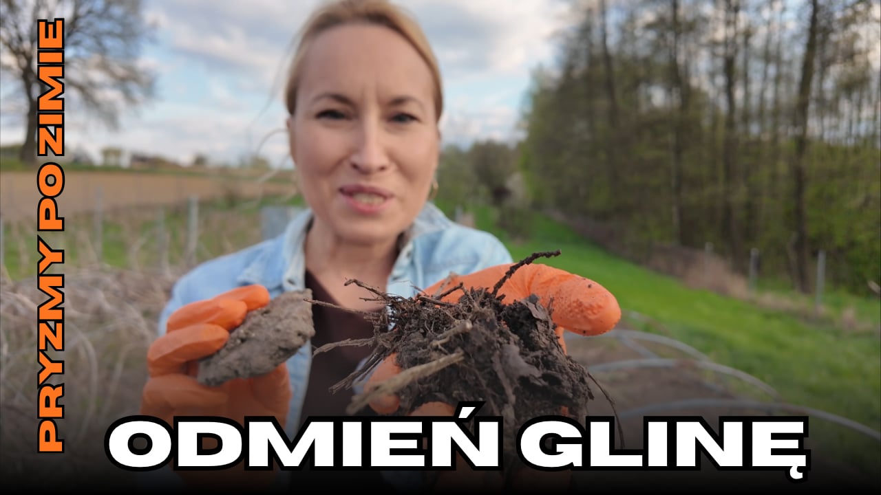 KOMPOST vs. BETON! Drastyczne porównanie gleby po zimie.