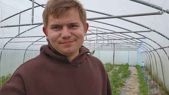 podwiązywanie pomidora