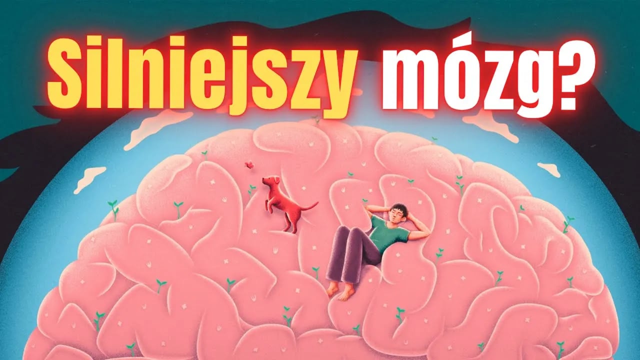 To najlepszy PRZYJACIEL twojego UKŁADU NERWOWEGO