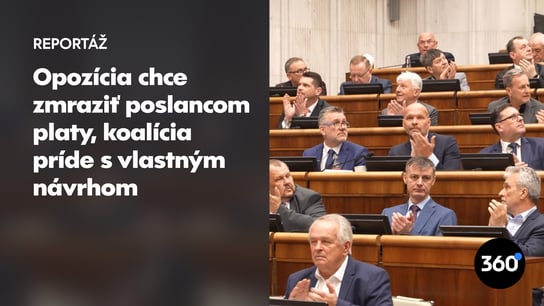 Pokuta 3 platov ministra, alebo 12 platov poslankyne? Za vilu v Chorvátsku môže zaplatiť viac V. Remišová