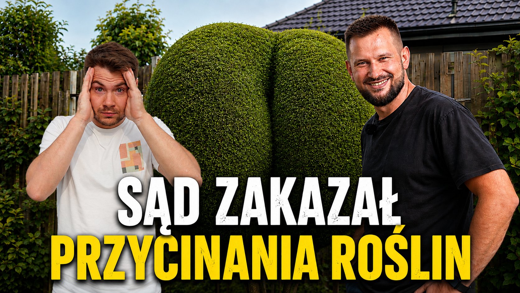  Prawo w ogrodzie – Tego sąsiad NIE może robić przy Twojej działce