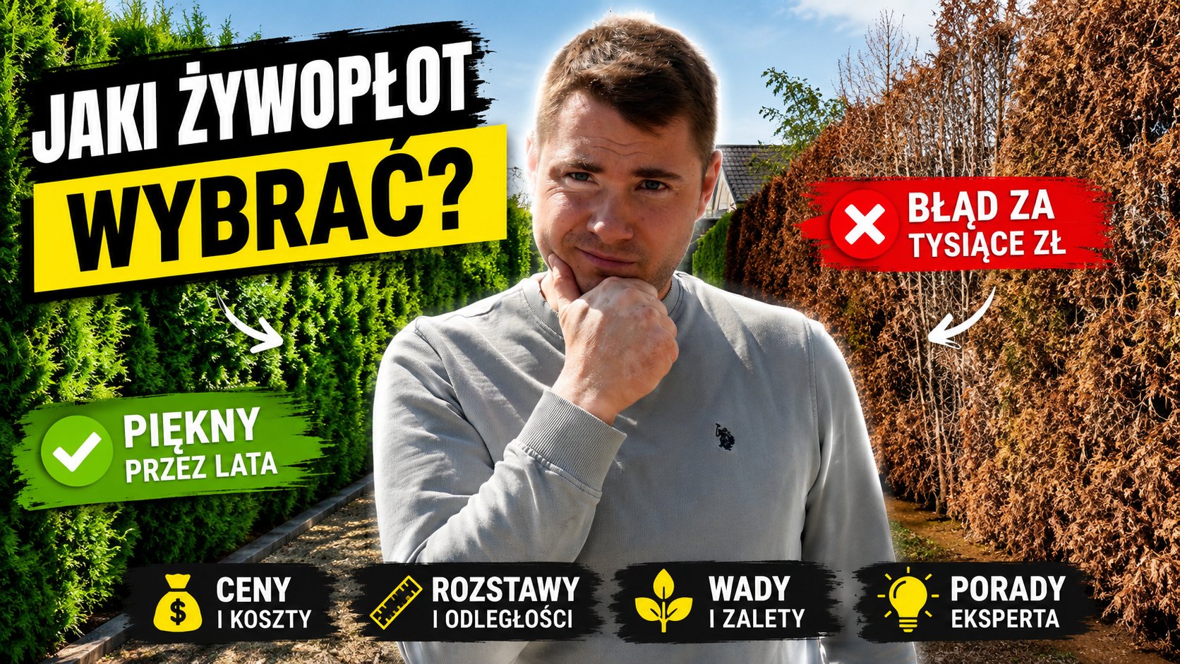  Jaką roślinę wybrać na żywopłot? 🌿 Kompletny poradnik