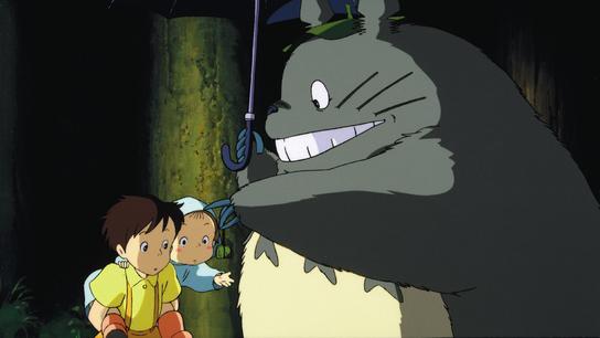 Můj soused Totoro
