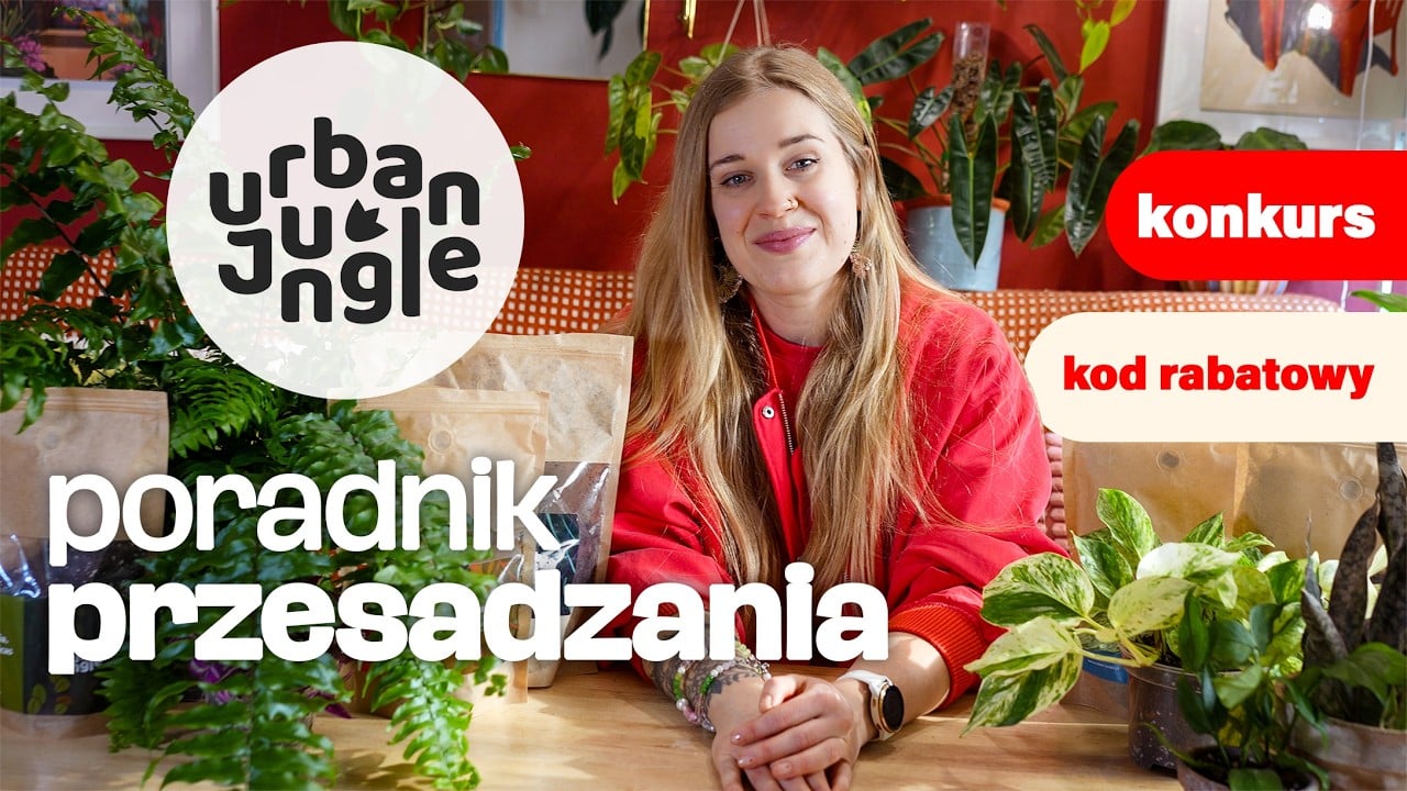 Przesadzanie - jak to robić W co sadzić Konkurs i kod rabatowy! Urban-Jungle