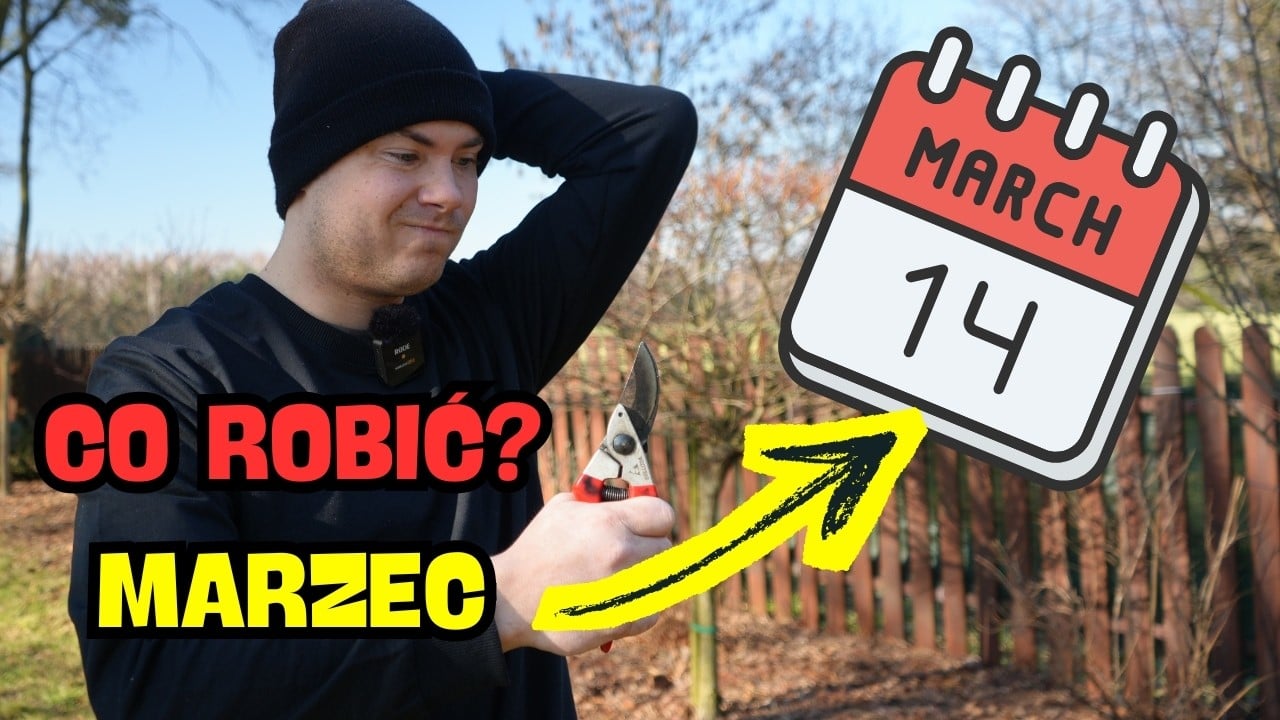 Marzec w ogrodzie 🌱🌸 Najważniejsze prace TERAZ