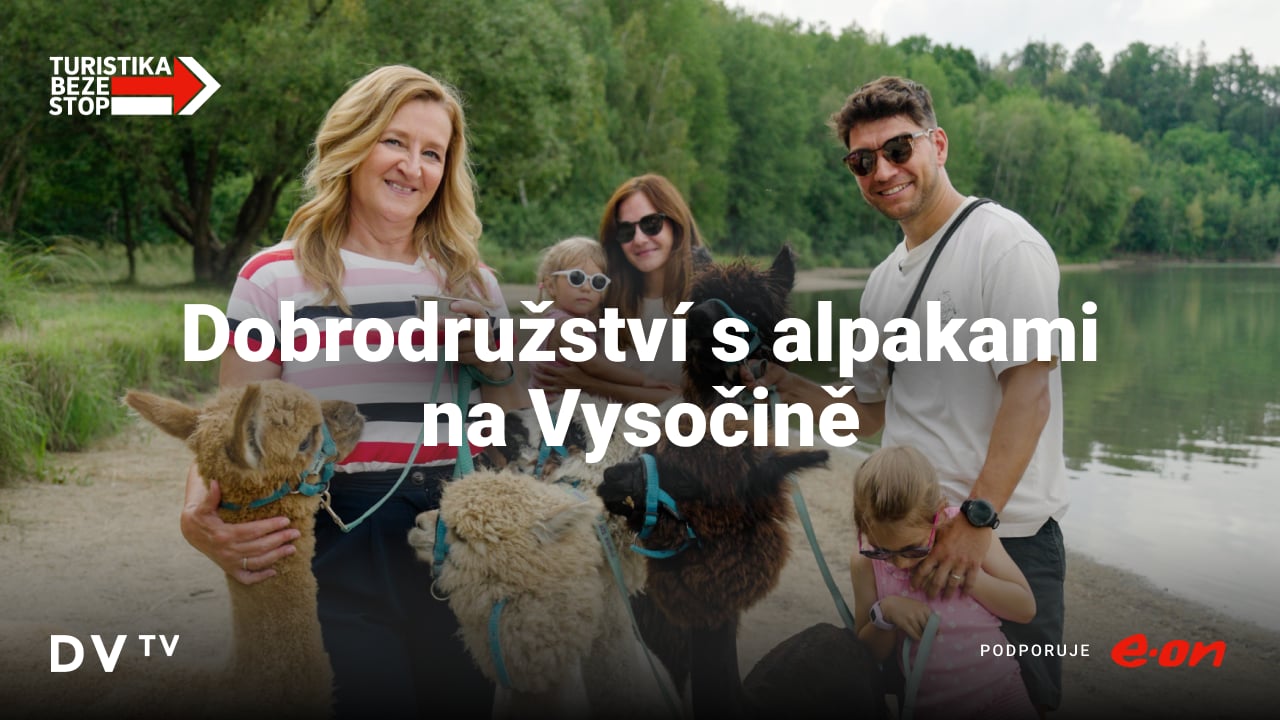 Od procházky s alpakami až po klášter s pohnutou minulostí. Objevte s námi Vysočinu, jak ji neznáte
