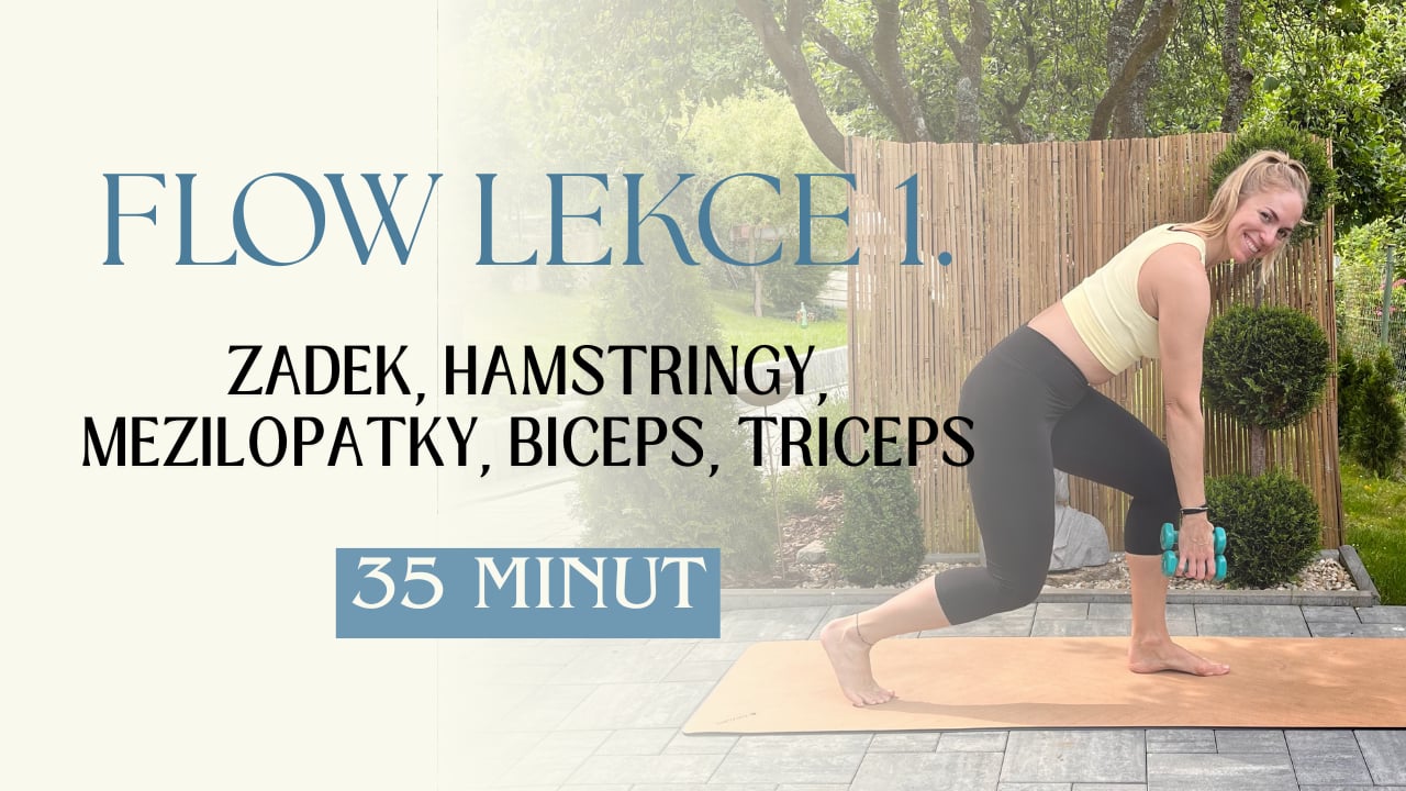 LEKCE 1. - Týden 31