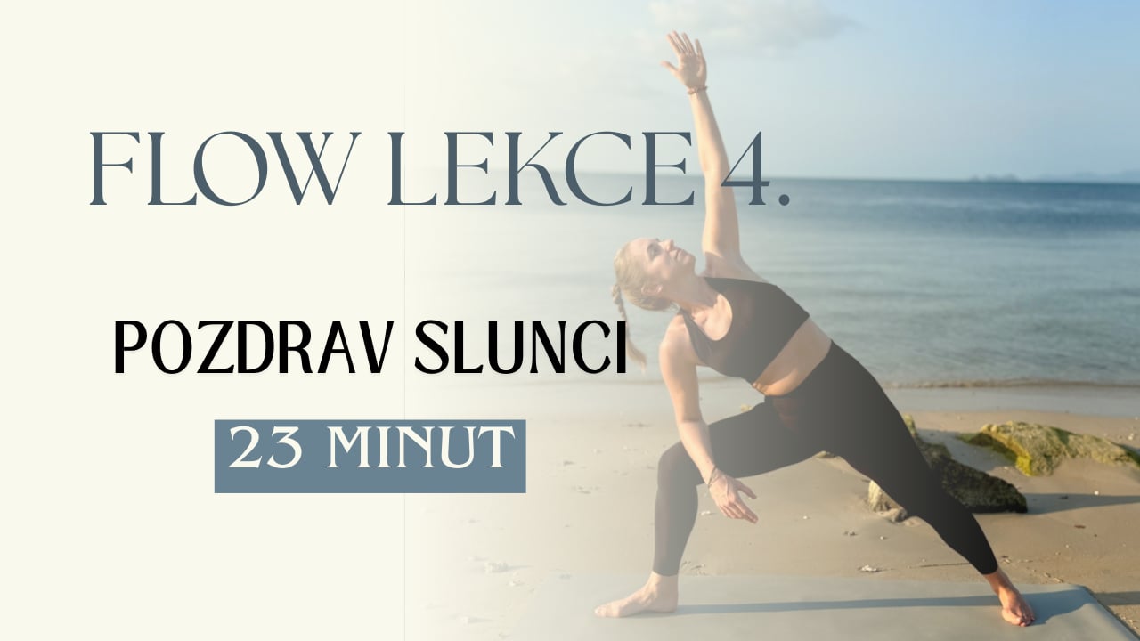 LEKCE 4. - Týden 24