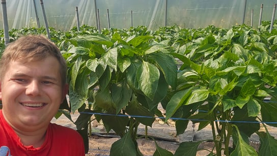 Jak prowadzić paprykę? Praktyczne porady z tunelu