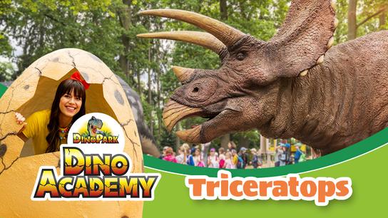 Triceratops - Dinoacademy - Karol a Kvído Dinosauři