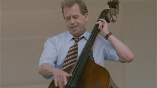 Občan Havel