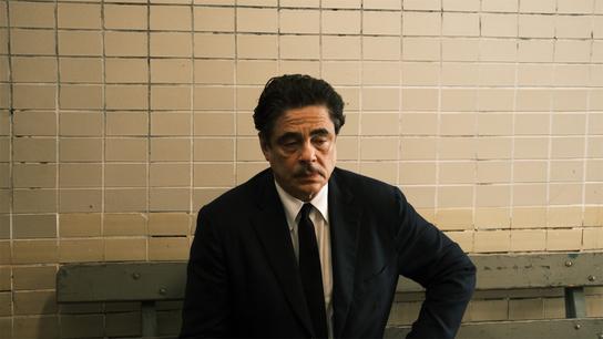 58. ročník – Benicio del Toro