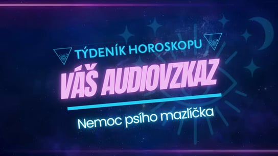 VÁŠ AUDIOVZKAZ: Jak zvládne nemocného pejska?