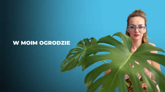 Najważniejsze zasady sadzenia Dalii Lilii Frezji Mieczyków Pustynnika w Twoim Og