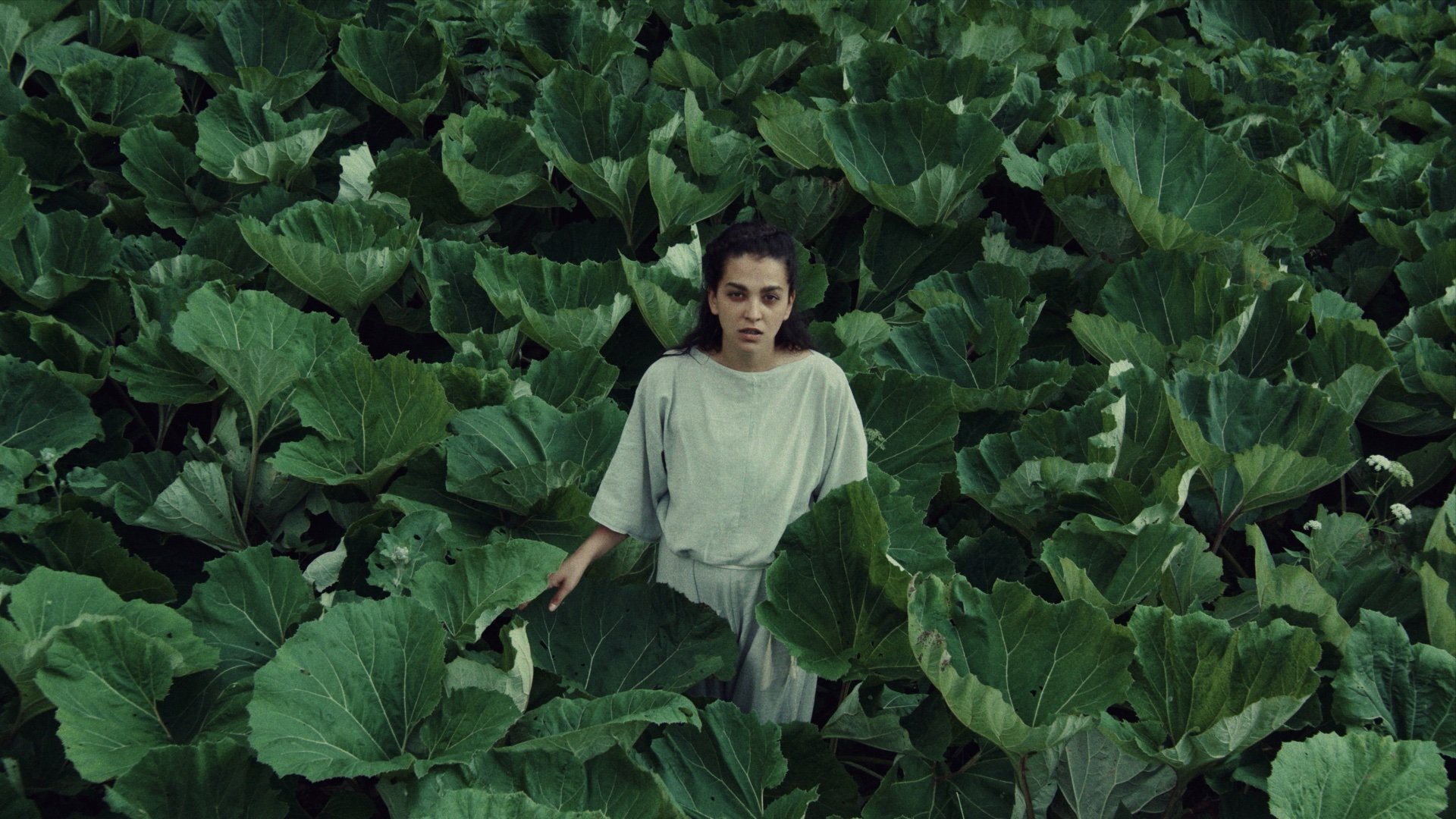 Orla (trailer)