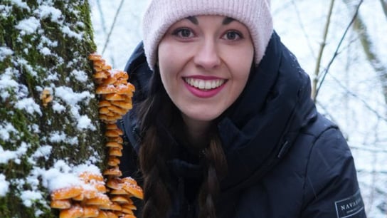 Jsme národ houbařů, ale houbám moc nerozumíme. Sbírat se dá i ve sněhu, zimní druhy jsou opomíjené, říká Šumavská houbička