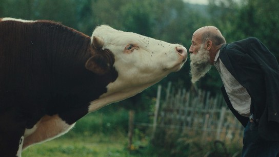 Raději zešílet v divočině