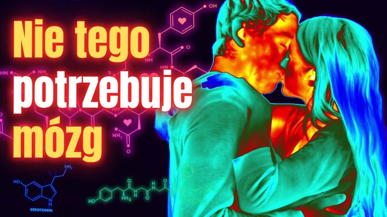 Mózg to (bio)komputer - TAK się go hakuje 