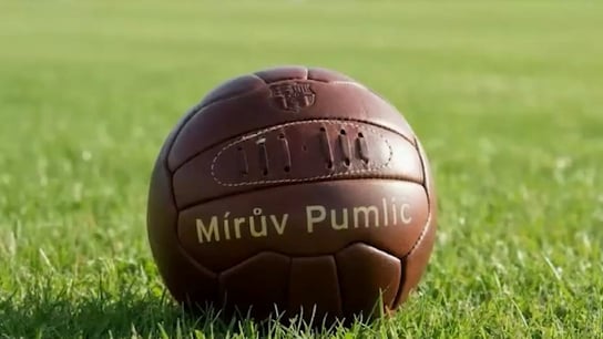 Mírův Pumlíč 40 