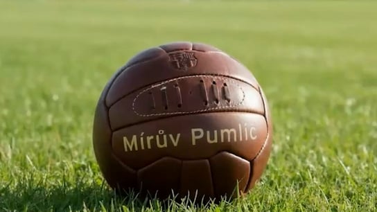 Mírův Pumlíč 24
