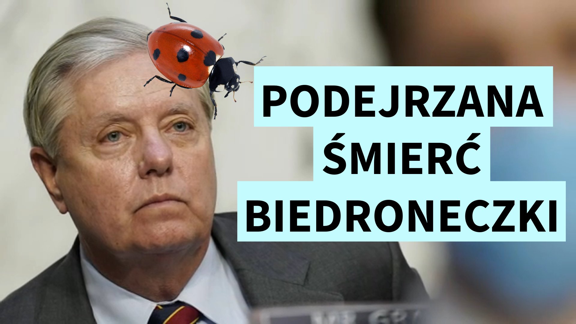 Podejrzana śmierć Lindsey Grahama - naszej biedroneczki. TEORIA SPISKOWA.