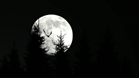 Spící žena z Praskoles a měsíc