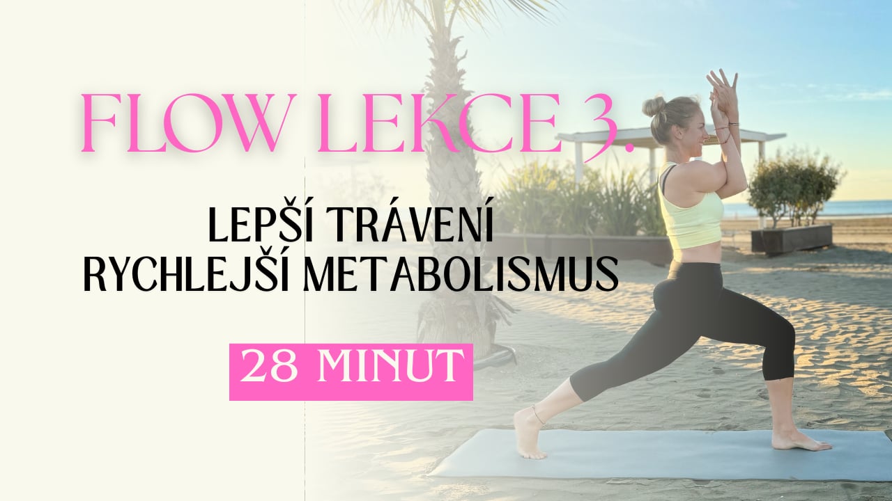 LEKCE 3. - Týden 31