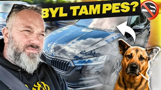 Mě snad švihne. Tohle je auto v bezvadném stavu?