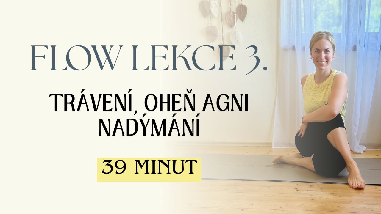 LEKCE 3. - Týden 28