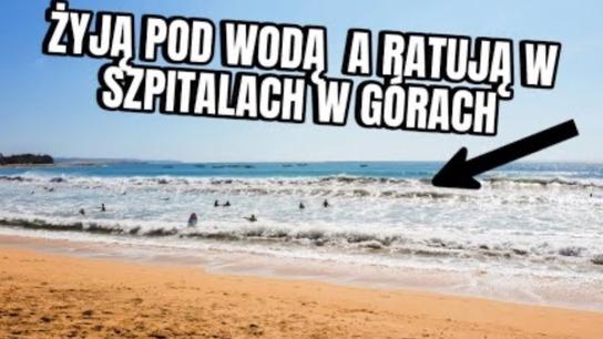 Zwierzęta które uratują ci życie 