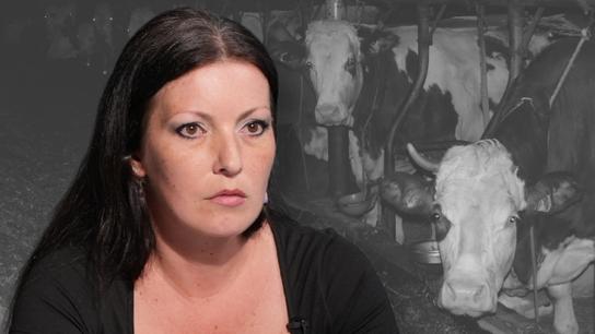 Viděla jsem roztržené tele i čelist krávy, kterou přesto hnali na dojení. Veselá zvířata na obalech jsou totální lež, říká Andělová
