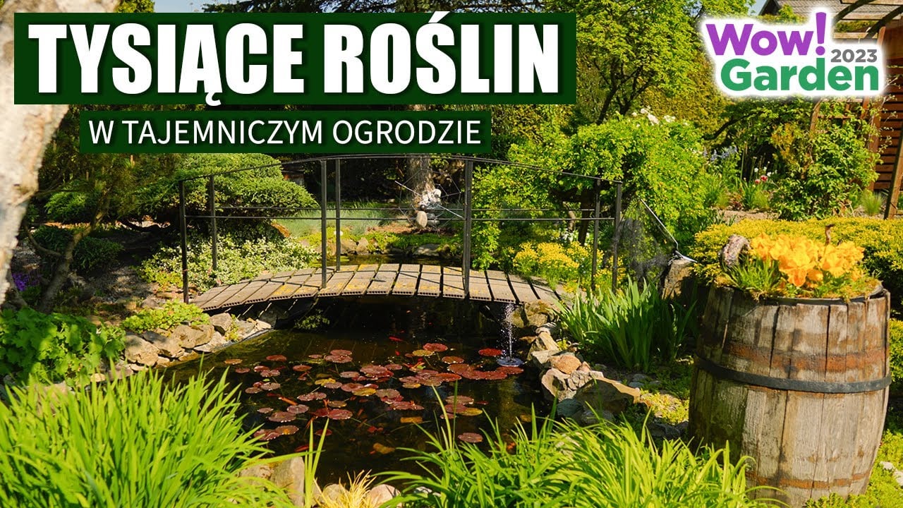 Jakie rośliny do naturalnego ogrodu. Tysiące roślin w niesamowitym ogrodzie. Wow!Garden odcinek 1