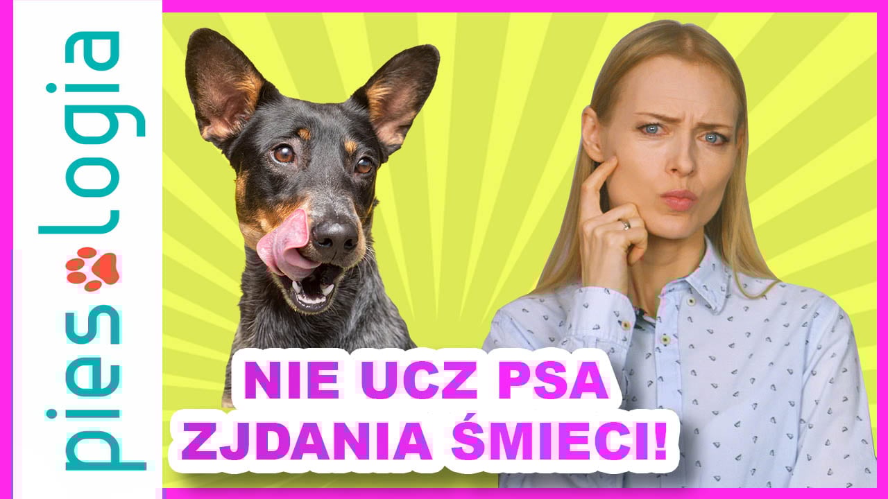 Czy pozwalając psu jeść z ziemi, uczę go zjadania śmieci?