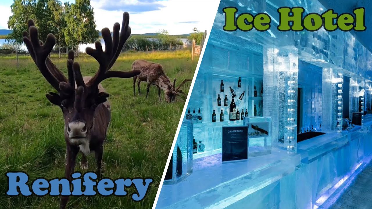 Co zobaczyć w Laponii? Kiruna & Jukkasjärvi | RENIFERY, ICE HOTEL