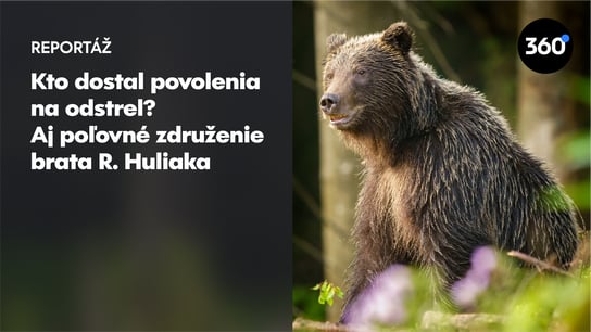 Trofej pre kamaráta či chybné GPS súradnice. Tri príklady, ako sa dnes poľuje na medvede