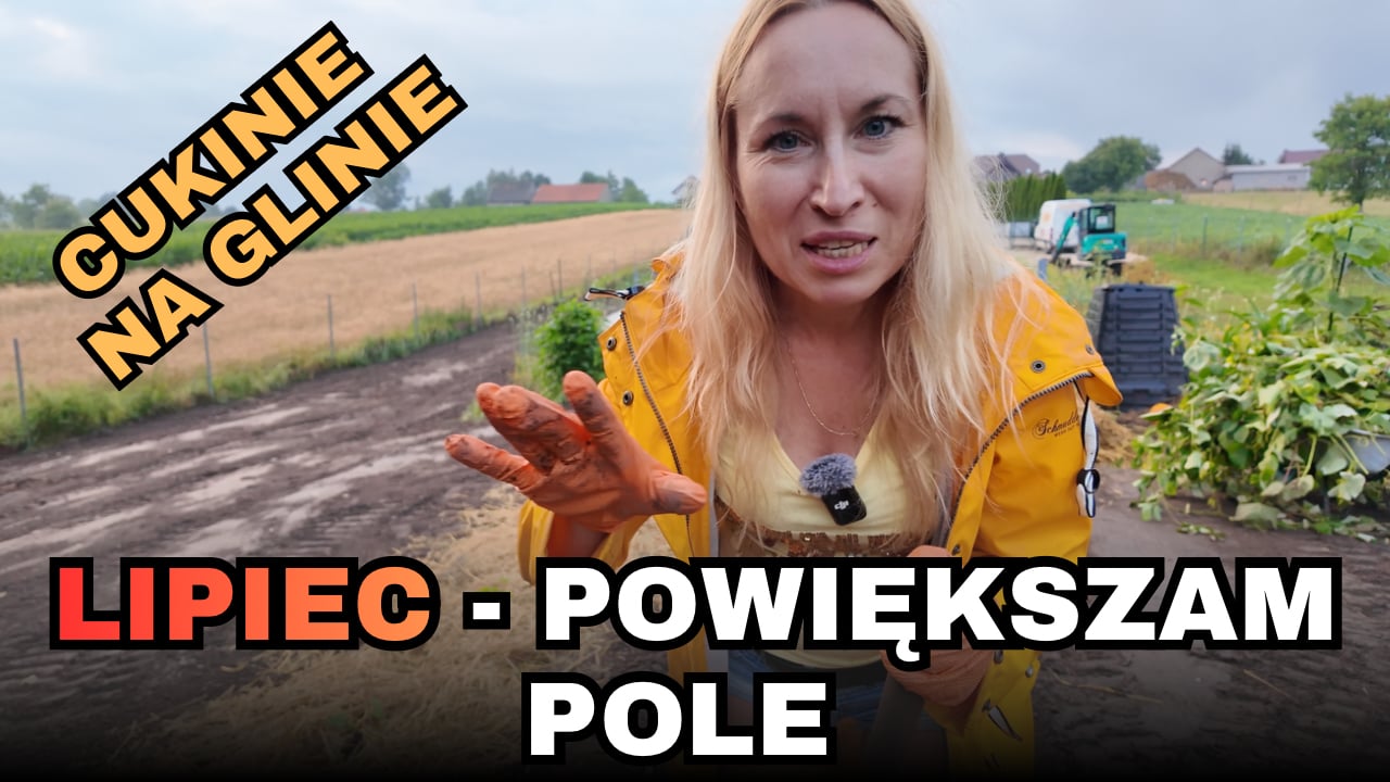 Jak przygotować gliniastą glebę BEZ ORKI? 🌿 Testuję różne metody na 100m²!
