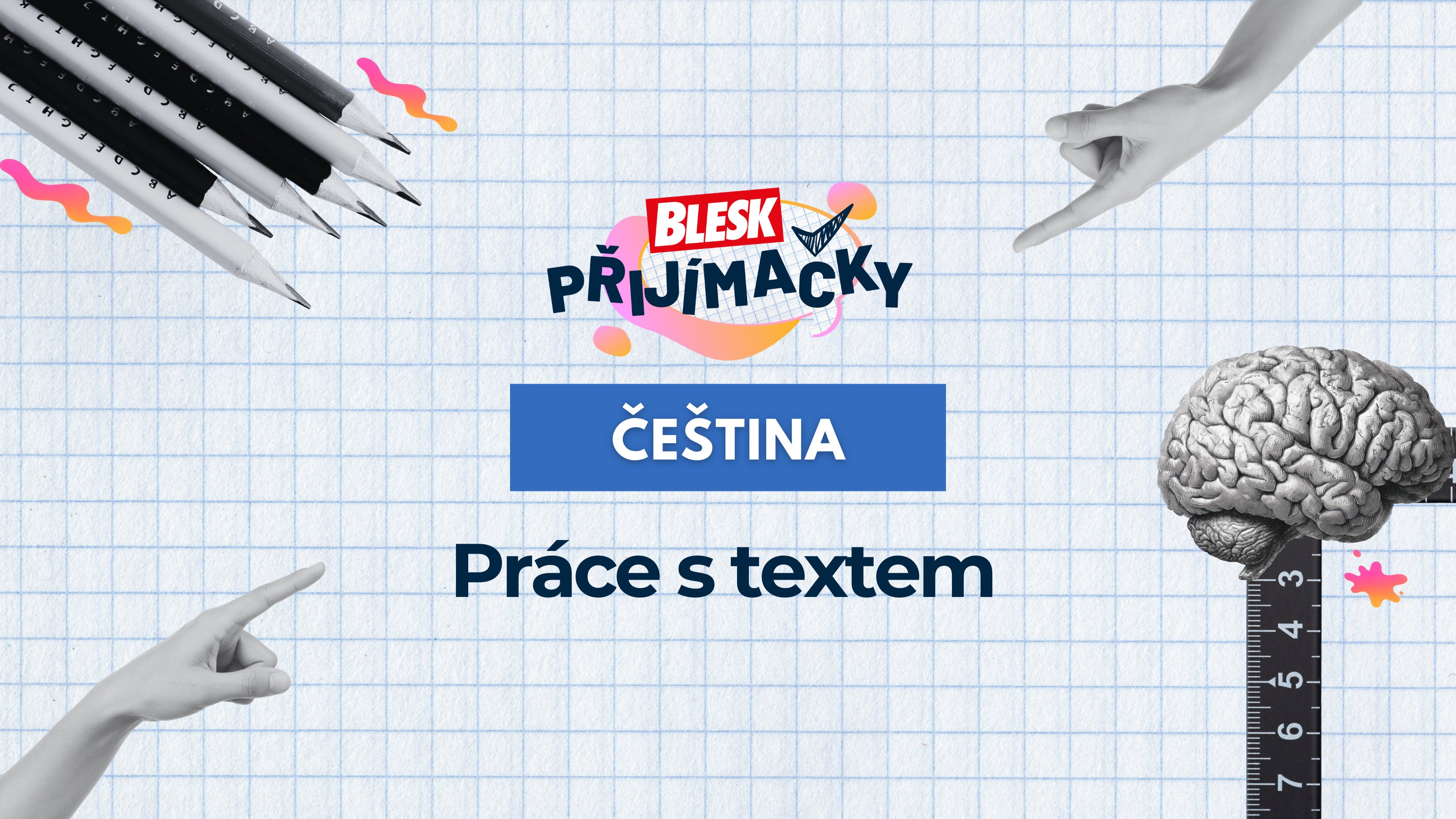 Český jazyk - Práce s textem
