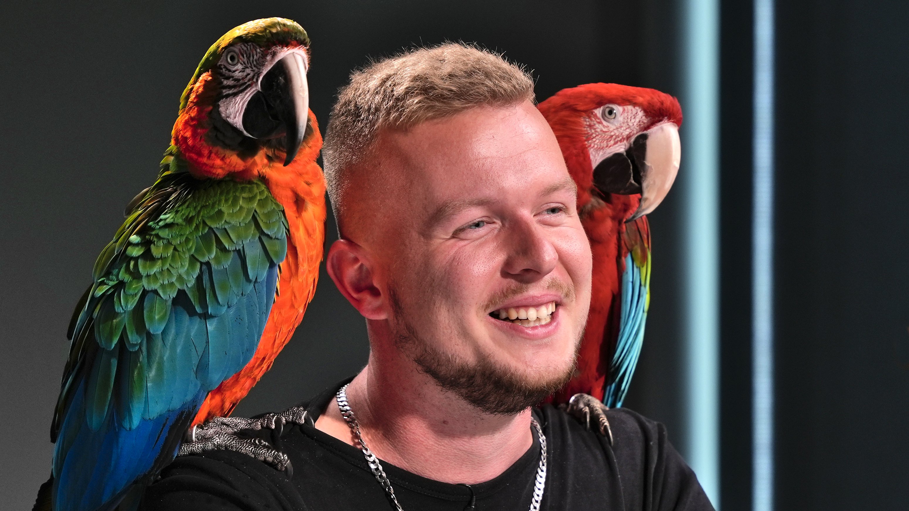 Mí papoušci jsou opeřený fakani, tahám je do vlaku i do hospody a užívají si svobodu. Snad natáhneme brka spolu, říká Jíra