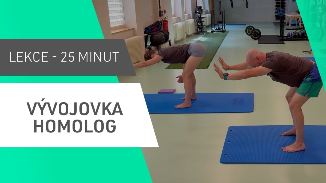 Vývojovka - homologní vzory